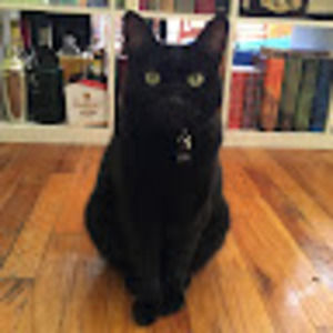 Meet your Posher, Janet